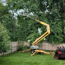 Why Choose Our Tree Removal Services in Stigler, OK?